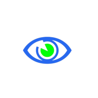 VISION